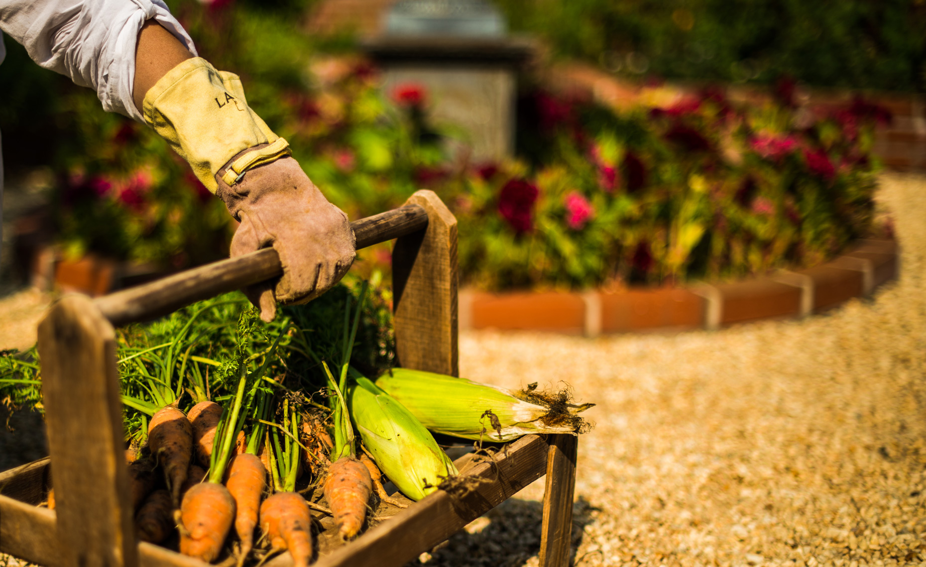Neil-Colton-Washington-DC-lifestyle-photographer-Mckenna-Farm-6
